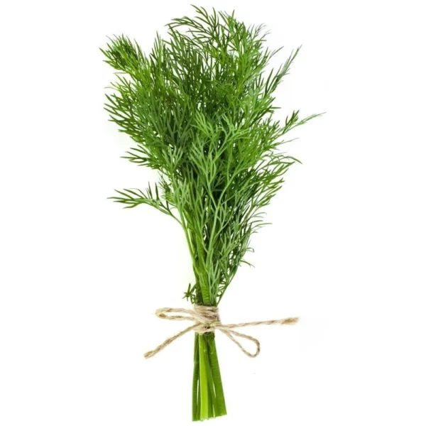 Άνηθος Ελληνικός Ποιότητα Α' Ματσάκι 60gr